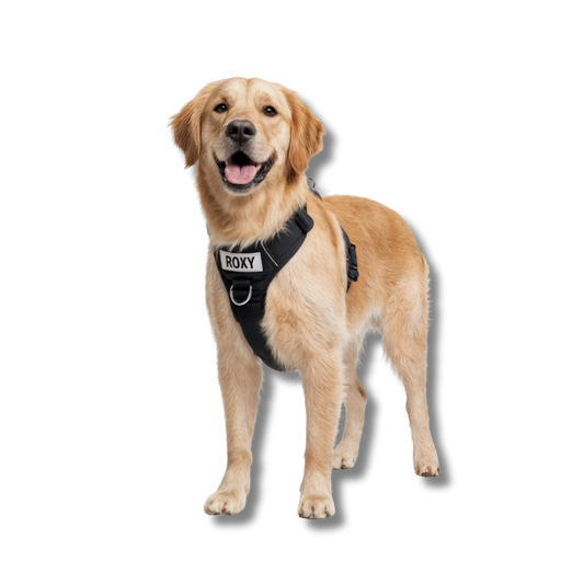 1 FREE No-Pull Harness - Priority Shipping